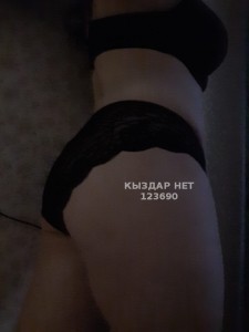 Проститутка Актобе Анкета №123690 Фотография №2978156