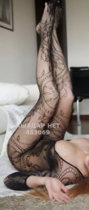 Проститутка Степногорска Анкета №483069 Фотография №3646287